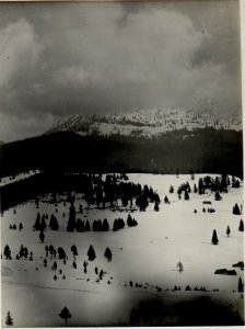 Panorama, Standpunkt Hochstand 9. (Cost' alta.) ( 5. Teilbild zu WK1 ALB083 24369a) (BildID 15631756)