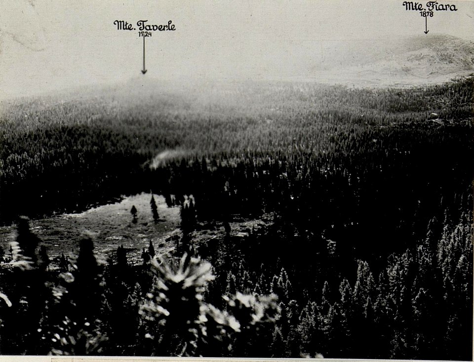 Panorama, J.Ghernari di Bosco secco (False Roccolo.) (4. Teilbild zu WK1 ALB082 24358a) (BildID 15630692)