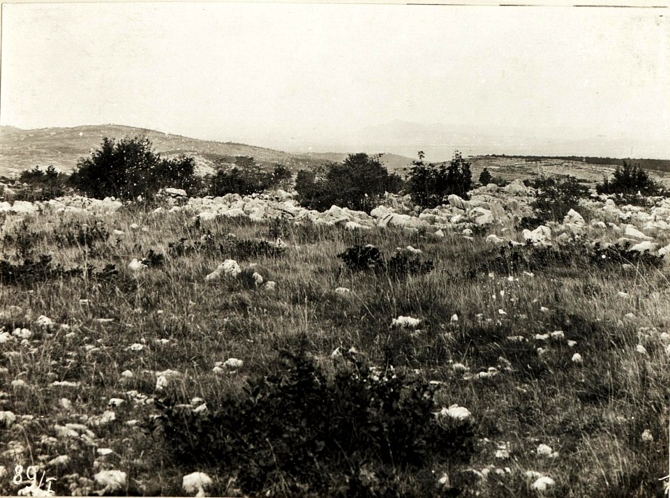 Panorama von Pecinka Kote 291, 29.9.1915. (BildID 15594719)