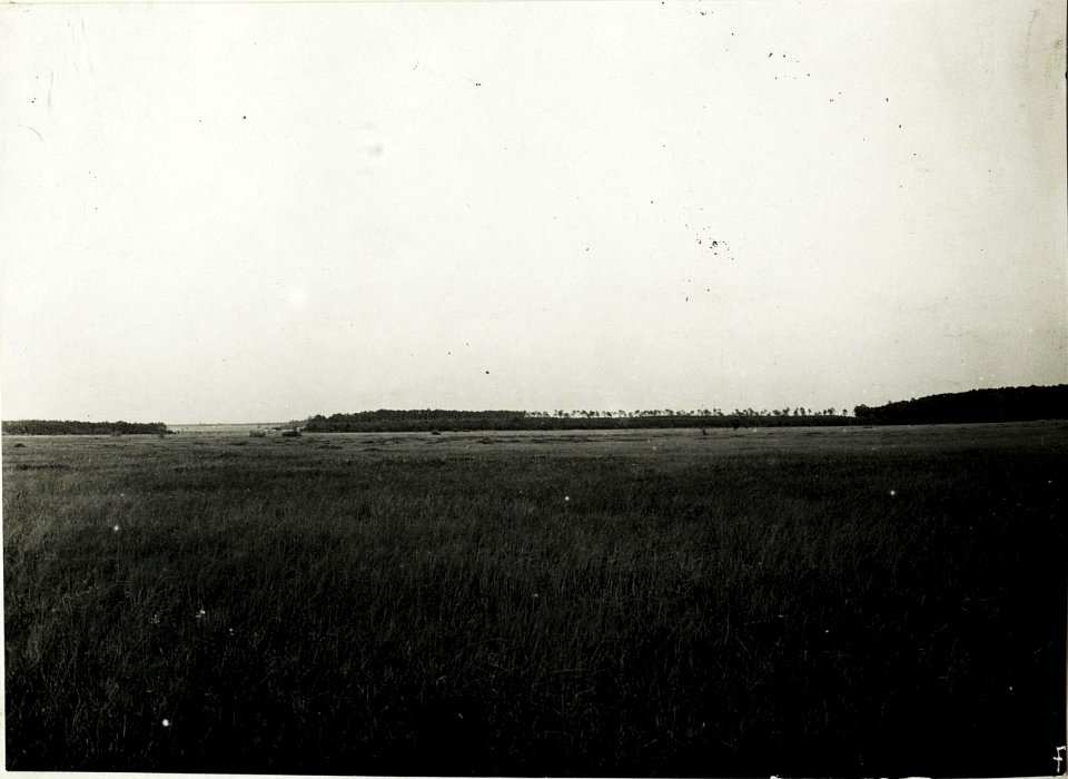 Panorama, Blick auf russisches Verteidigungsfeld von Nowa Brshesniza. (BildID 15589337)