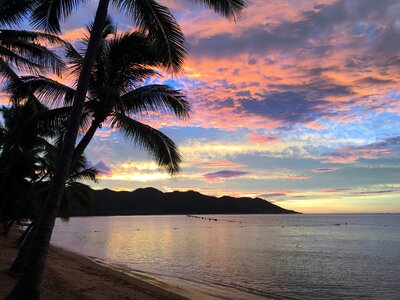 Magnetic island sunset palm trees photo