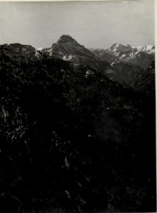Panorama, C.Palone, V.Ledro, M. Notta..Standpunkt, Tomeabru. (5. Teilbild zu WK1 ALB082 24346a) (BildID 15630391)