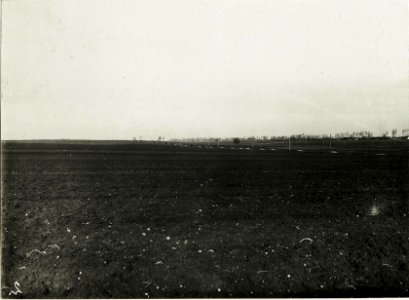 Panorama westlich Petrikau, nördlich Rokszyn. Sicht auf eigene Stellungen beiderseits der Landstraße. (BildID 15588889)