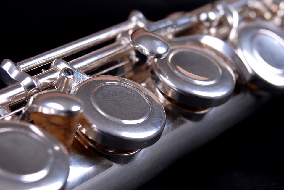 Instrument silver wind