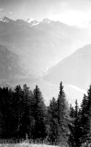 Panorama von Pazroud - CH-BAR - 3237215