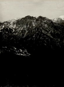 Panorama, Tomeabru, Casetta bis Kte.1229. Standpunkt, Cima d' Oro. (7. Teilbild zu WK1 ALB082 24349a) (BildID 15630146)