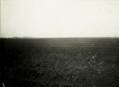 Panorama westlich Petrikau, nördlich Rokszyn. Sicht auf eigene Stellungen beiderseits der Landstraße. (BildID 15588882)