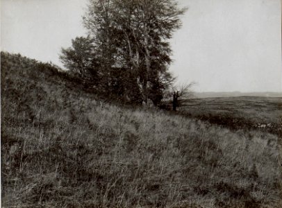 Panorama aus der Stellung des 2.Zuges der 15.Kompanie auf Kote 706 (BildID 15660537)