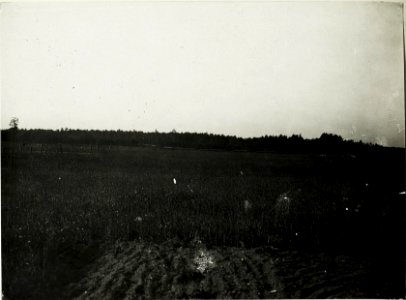 Panorama der gedeckten Schützengräben eigener Infanterie am Höhenrucken östlich von Wólka Prusicka. (BildID 15589155)