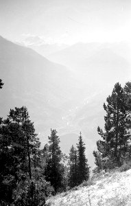 Panorama von Pazroud - CH-BAR - 3237216