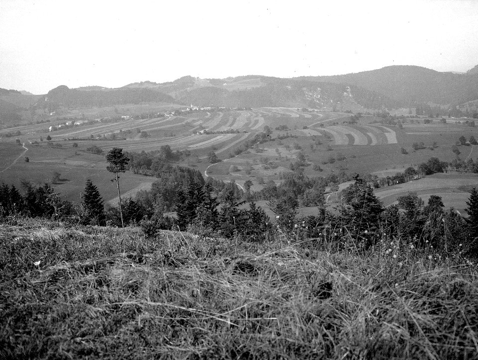 Panorama von Pkt. 875 - CH-BAR - 3236547