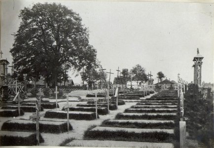 Perespa, Militärfriedhof. (BildID 15676475)