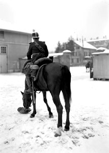 Pferd beim Fressen im Schnee - CH-BAR - 3237998
