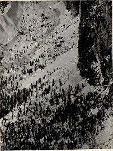 Panorama, Col di Lana, Monte Sief. Standpunkt Sasso di Stria. (7. Teilbild zu WK1 ALB82 24333a) (BildID 15629852)