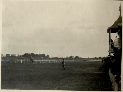 Pferderennen in Weli Effendi, Einlauf 27.10.1916 (BildID 15544531)