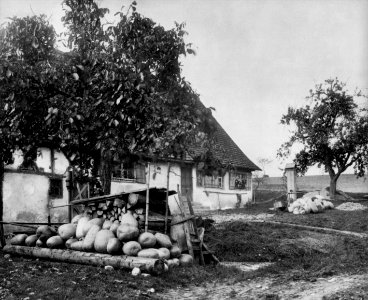 Peter Scherer Gehöft photo