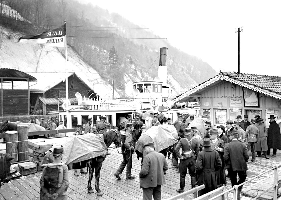 Pferde auf ein Schiff des Vierwaldstättersees - CH-BAR - 3240369