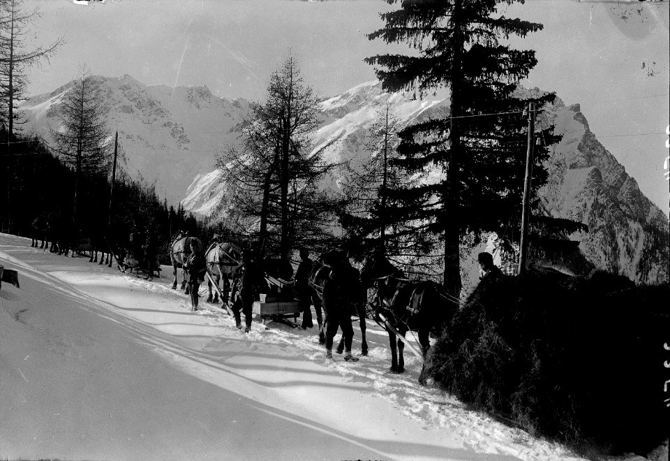 Pferdeschlittenkolonne - CH-BAR - 3237125