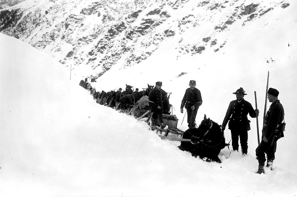 Pferdeschlitten im Neuschnee - CH-BAR - 3237082