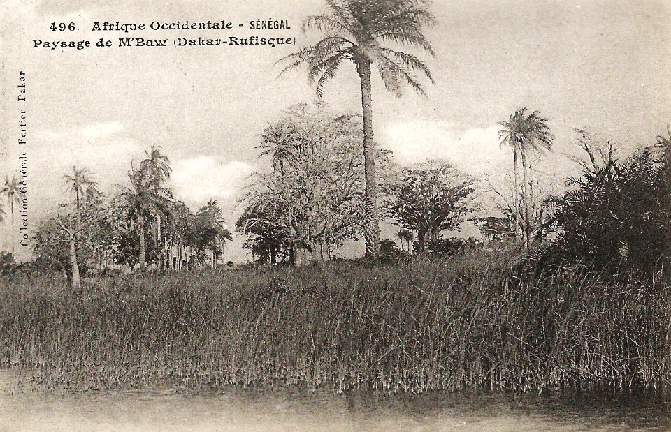 Paysage de M'Baw (AOF)
