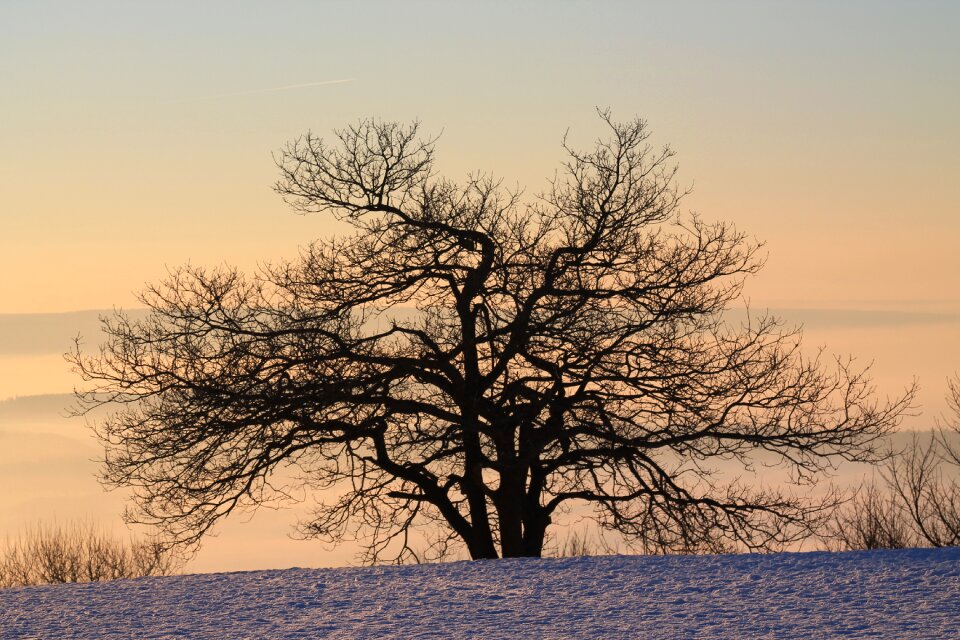 Dawn winter snow