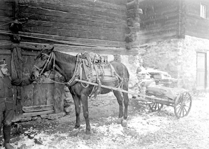 Pferd mit Bastsattel und Wagen der Infanterie Mitrailleure - CH-BAR - 3239279