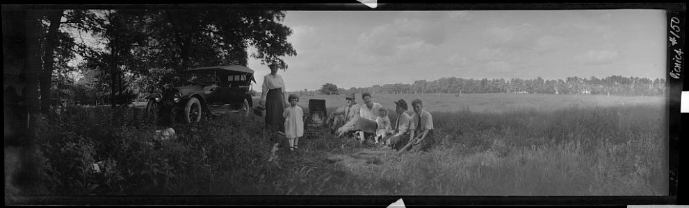Picnic and wildflower hunt near Elgin, Illinois LCCN2017656443