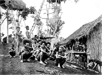 Picturesque New Guinea Plate VIII - Koiari Chiefs