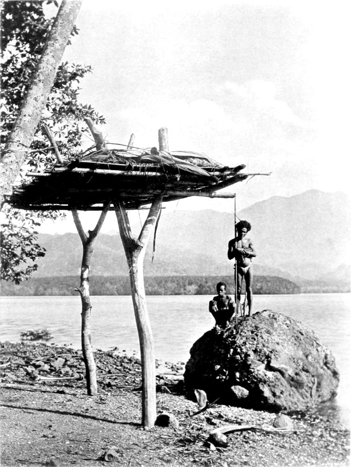 Picturesque New Guinea Plate XLI - Platform for Dead Bodies, South Cape, New Guinea