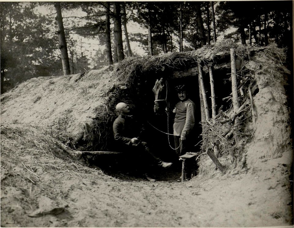 Pferdeunterstand in Giedlarowa - Galizien-. Juni 1915. (BildID 15540398)