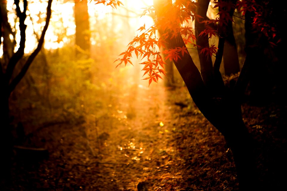 Park the morning sun exercise