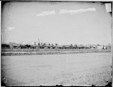 Pontoon train ready for marching - NARA - 525061