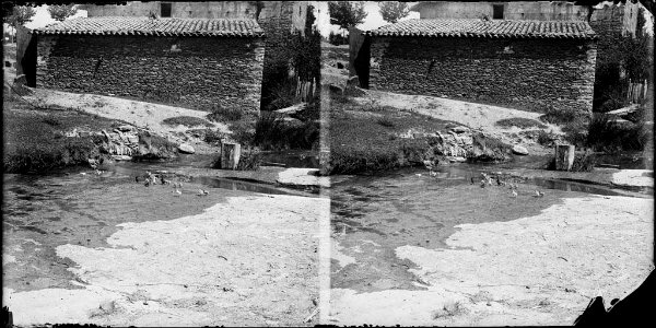 Pollets al costat d'una masia