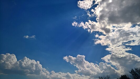 Moss clouds light