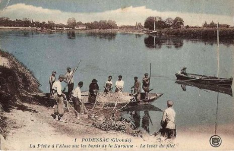 Podensac - Garonne 1