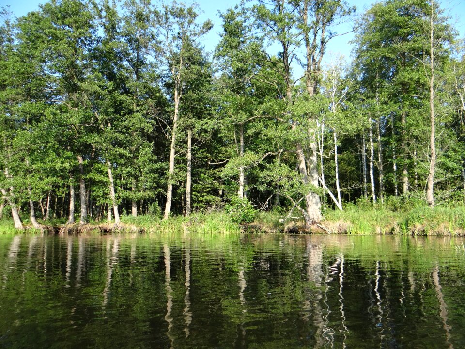 Peace of mind landscape nature