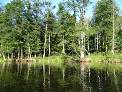 Peace of mind landscape nature
