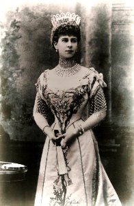 Plock Masovian Museum 2019 P07 W. & D. Downey Queen Mary of the United Kingdom