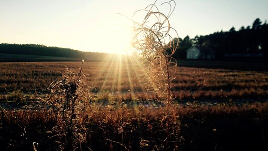 Sun north landscape