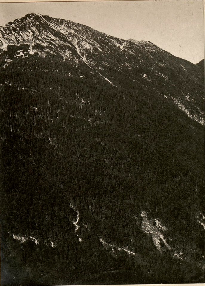POLONIK gegen CESOCA SLATENIKGRABEN. Standpunkt, Artillerie Beobachter am VRSIC. aufgenommen am 28. Juni 1916. (BildID 15476952)