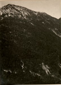 POLONIK gegen CESOCA SLATENIKGRABEN. Standpunkt, Artillerie Beobachter am VRSIC. aufgenommen am 28. Juni 1916. (BildID 15476952)