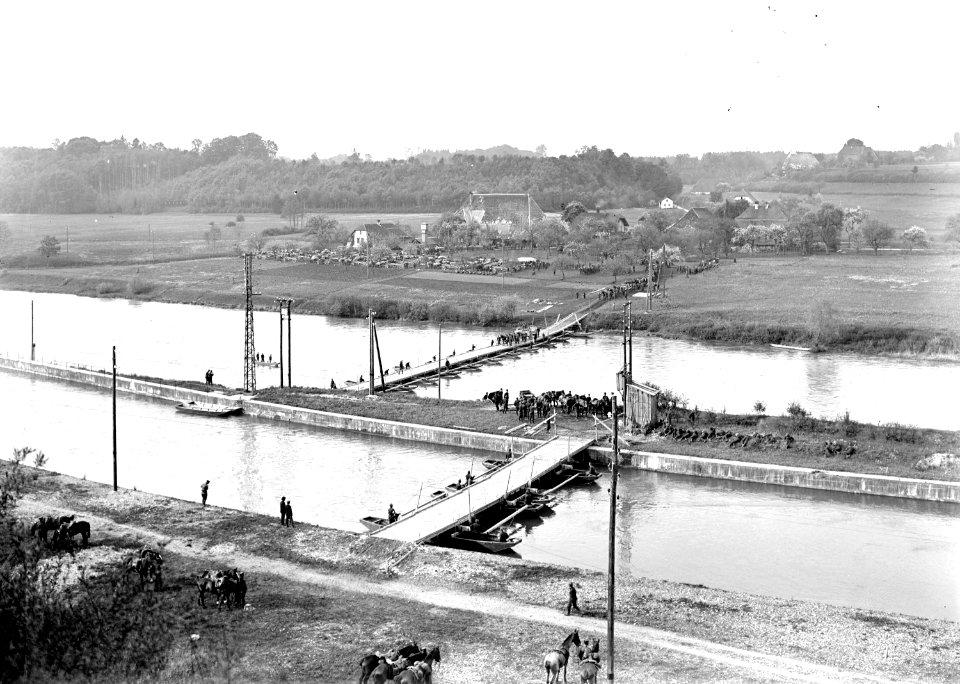 Ponton-Brücke über die Aare - CH-BAR - 3239596