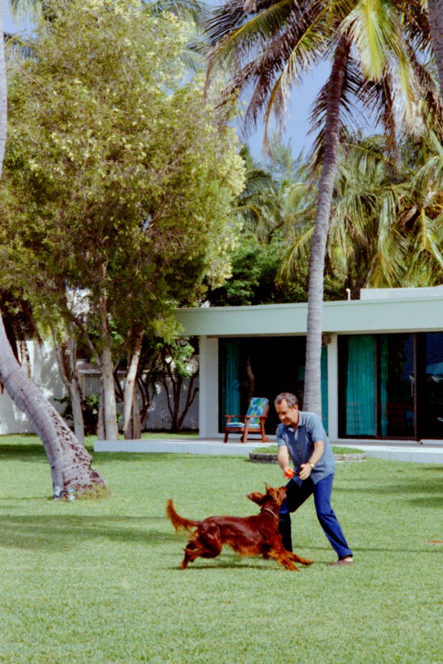 President Richard Nixon Playing with Irish Setter King Timahoe in Key Biscayne, Florida