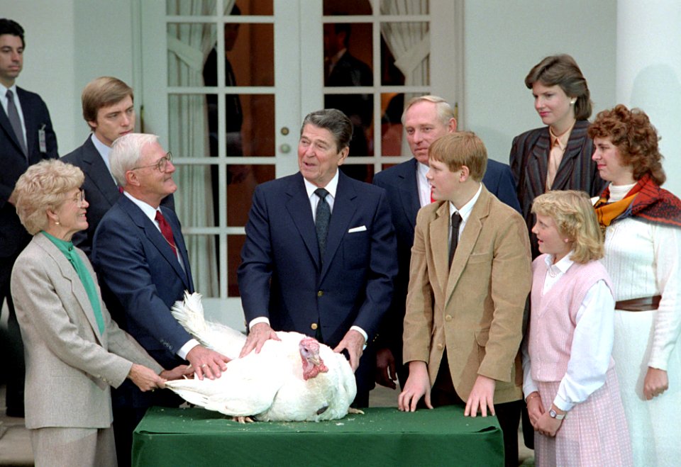 President Ronald Reagan during the ceremony to receive the Thanksgiving Turkey from the National Turkey Federation in the Rose Garden