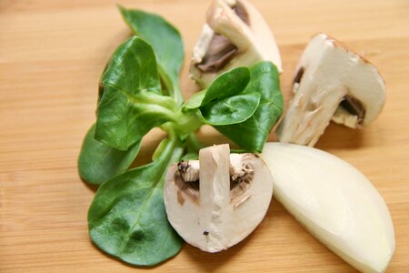 Salad vegetables close up photo