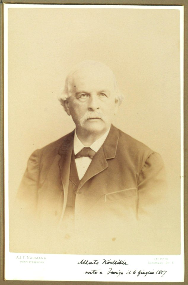 Rudolf Albert von Köelliker, ante 1905 - Accademia delle Scienze di Torino 0080