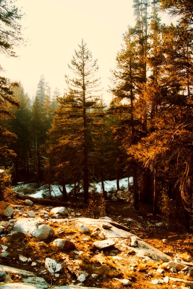Landscape tourism nature