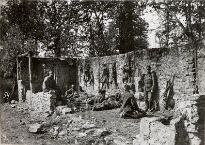 Relaisposten im Ternovanerwalde. 6.9.17. (BildID 15601975)