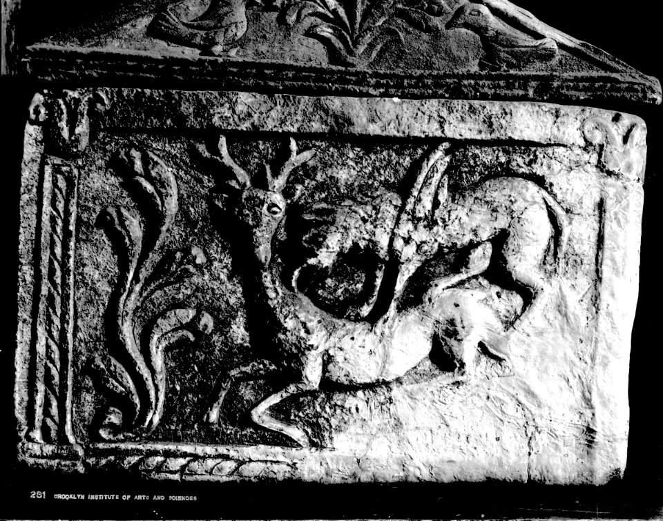 S03 06 01 001 image 640