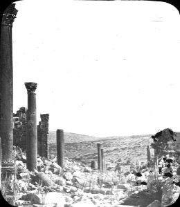 S03 06 01 023 image 3041